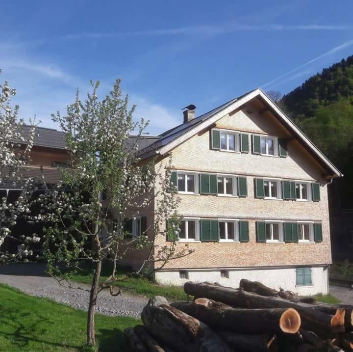 Apartments Hänsler Mellau Exterior foto